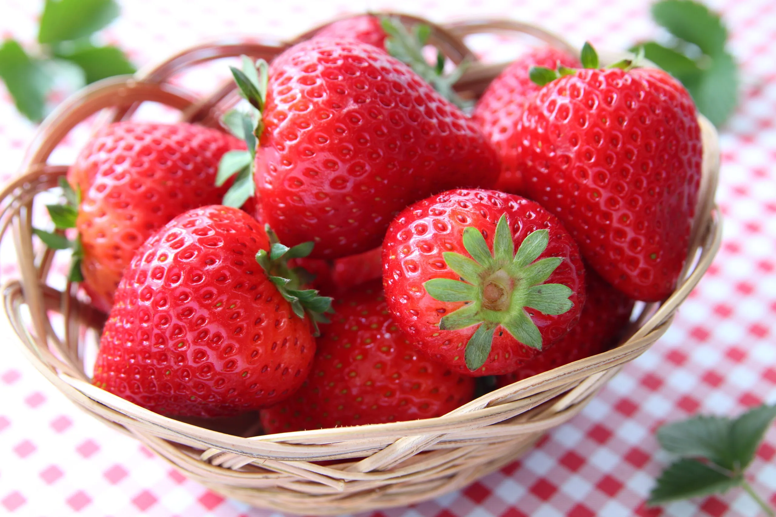 日本士多啤梨2025｜九州摘士多啤梨5大果園推介 熱門品種任摘任食！ 