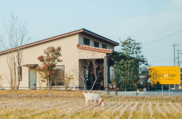 日本士多啤梨2025｜九州摘士多啤梨5大果園推介 熱門品種任摘任食！ 