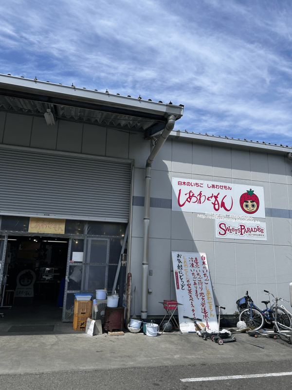 日本士多啤梨2025｜九州摘士多啤梨5大果園推介 熱門品種任摘任食！ 