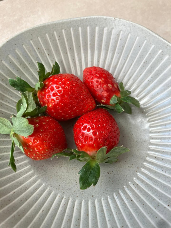 日本士多啤梨2025｜九州摘士多啤梨5大果園推介 熱門品種任摘任食！ 