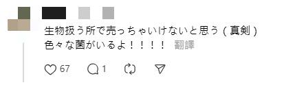 日本超市驚現「連毛帶甲」熊掌！標價5萬円嚇窒網民：生勾勾咁點樣食？ 