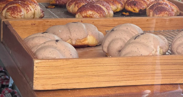 照片來源:小紅書 照片來源:小紅書