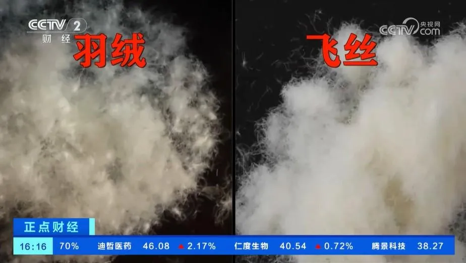 (圖片來源︰央視網)