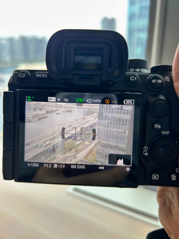 Sony直出色彩有驚喜？Sony A7 V 人像動物實測 AI白平衡 預拍攝出色實用