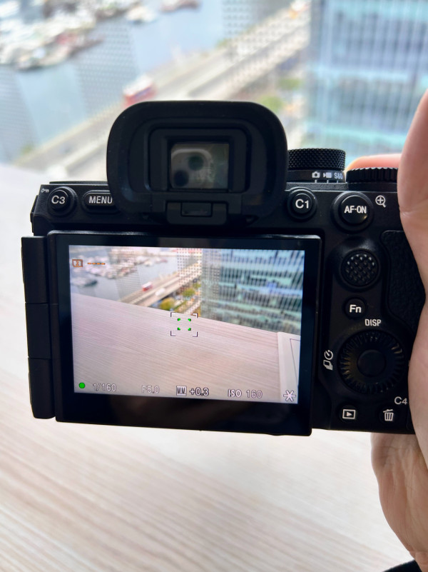 Sony直出色彩有驚喜？Sony A7 V 人像動物實測 AI白平衡 預拍攝出色實用