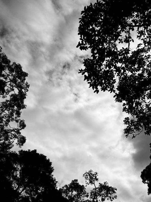 大埔火災|鄭秀文沉重撰文悼宏福苑大火 心繫災情現身教堂祈禱會默念祝禱