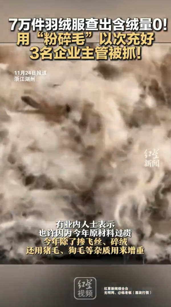 淘寶極平價羽絨被/羽絨褸全是假貨?內媒揭豬毛/飛絲冒充 長期蓋恐致哮喘/爛肺!【附消委會6招辨真偽】