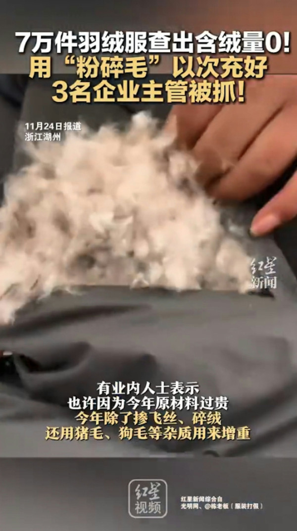 淘寶極平價羽絨被/羽絨褸全是假貨?內媒揭豬毛/飛絲冒充 長期蓋恐致哮喘/爛肺!【附消委會6招辨真偽】