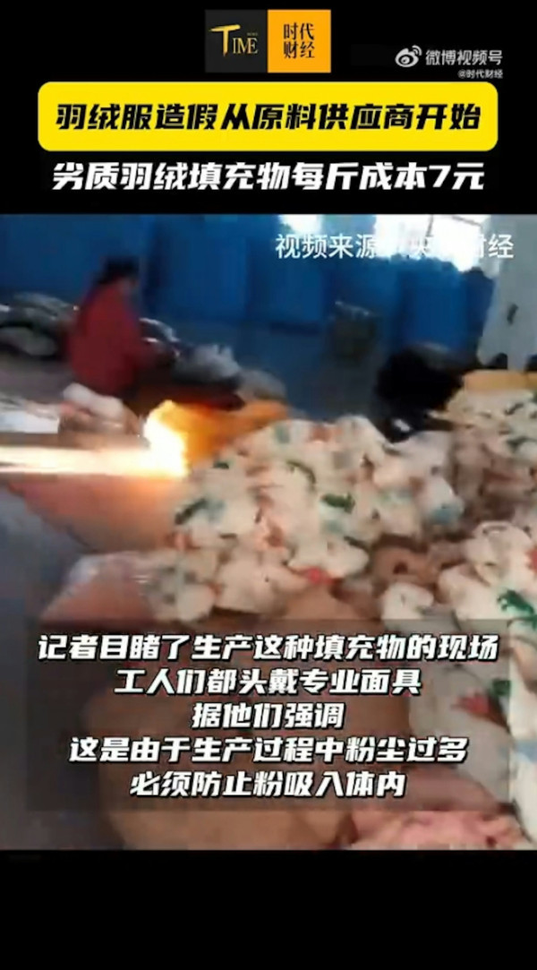 淘寶極平價羽絨被/羽絨褸全是假貨?內媒揭豬毛/飛絲冒充 長期蓋恐致哮喘/爛肺!【附消委會6招辨真偽】