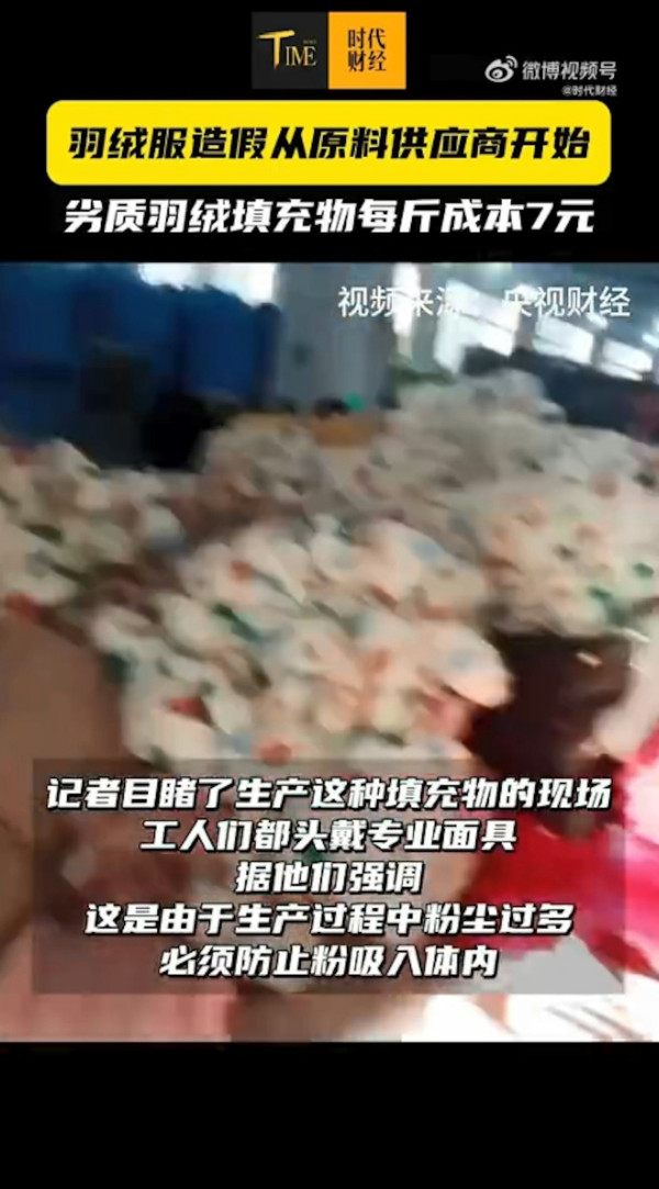 淘寶極平價羽絨被/羽絨褸全是假貨?內媒揭豬毛/飛絲冒充 長期蓋恐致哮喘/爛肺!【附消委會6招辨真偽】