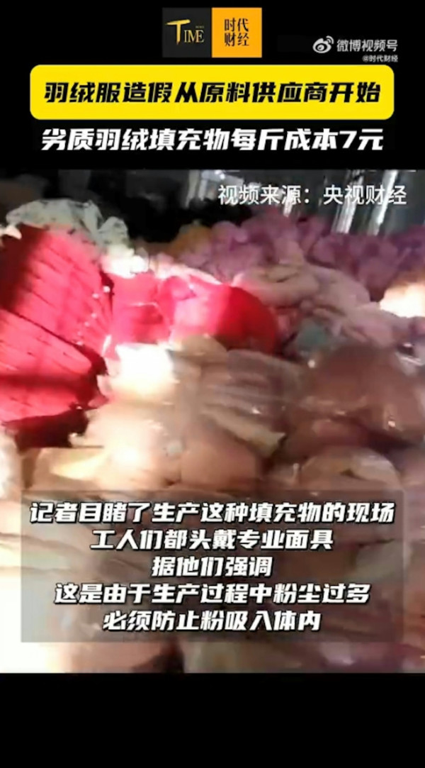 淘寶極平價羽絨被/羽絨褸全是假貨?內媒揭豬毛/飛絲冒充 長期蓋恐致哮喘/爛肺!【附消委會6招辨真偽】