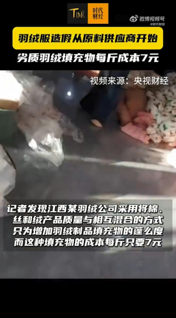 淘寶極平價羽絨被/羽絨褸全是假貨?內媒揭豬毛/飛絲冒充 長期蓋恐致哮喘/爛肺!【附消委會6招辨真偽】