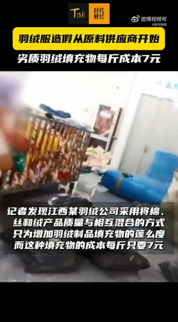 淘寶極平價羽絨被/羽絨褸全是假貨?內媒揭豬毛/飛絲冒充 長期蓋恐致哮喘/爛肺!【附消委會6招辨真偽】