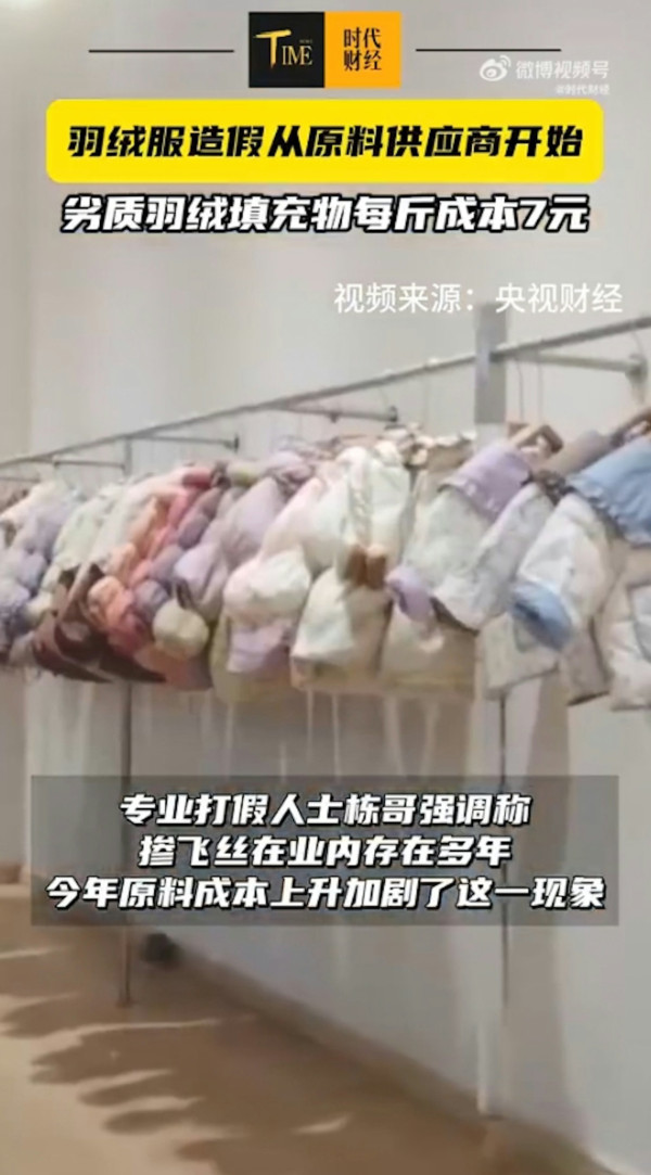 淘寶極平價羽絨被/羽絨褸全是假貨?內媒揭豬毛/飛絲冒充 長期蓋恐致哮喘/爛肺!【附消委會6招辨真偽】