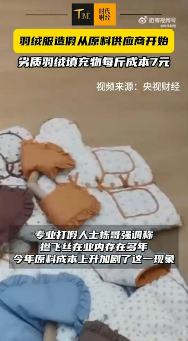 淘寶極平價羽絨被/羽絨褸全是假貨?內媒揭豬毛/飛絲冒充 長期蓋恐致哮喘/爛肺!【附消委會6招辨真偽】