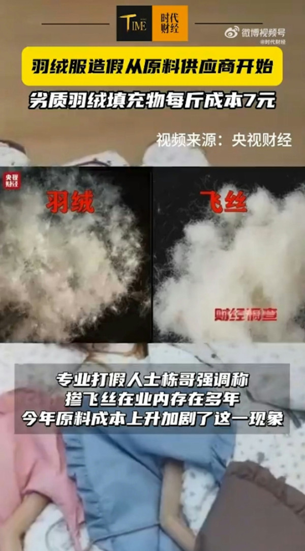 淘寶極平價羽絨被/羽絨褸全是假貨?內媒揭豬毛/飛絲冒充 長期蓋恐致哮喘/爛肺!【附消委會6招辨真偽】
