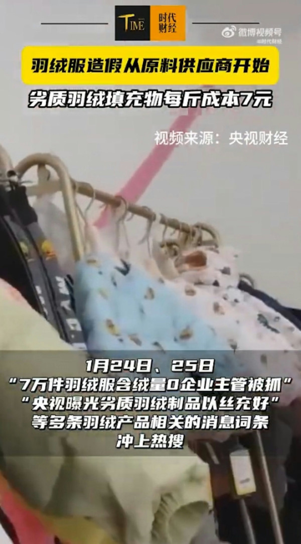 淘寶極平價羽絨被/羽絨褸全是假貨?內媒揭豬毛/飛絲冒充 長期蓋恐致哮喘/爛肺!【附消委會6招辨真偽】