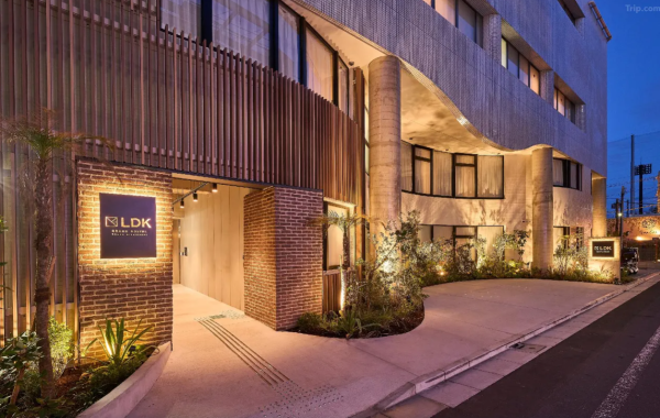 照片來源：網上圖片 