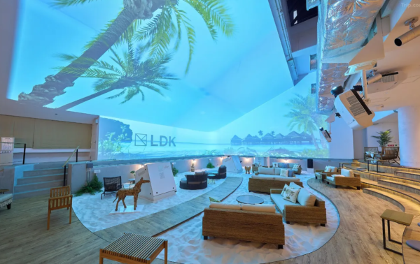 照片來源：網上圖片 