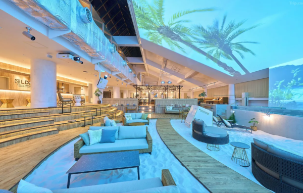 照片來源：網上圖片 