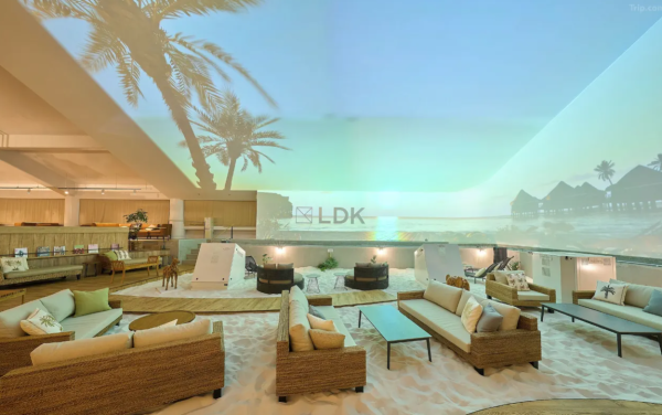 照片來源：網上圖片 