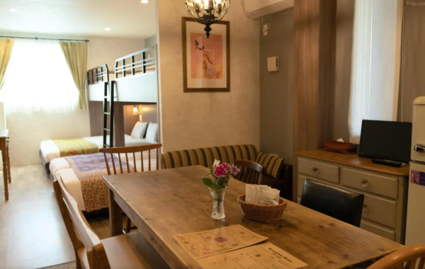 照片來源：網上圖片 