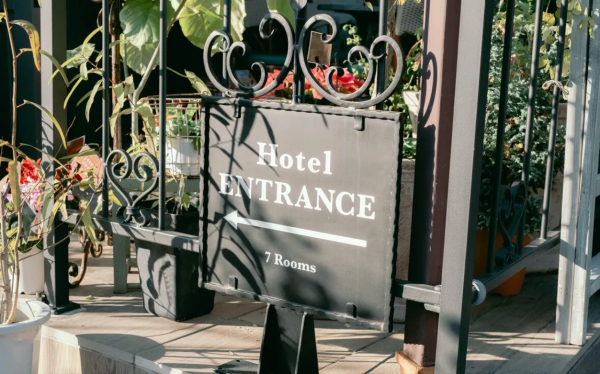 照片來源：網上圖片 