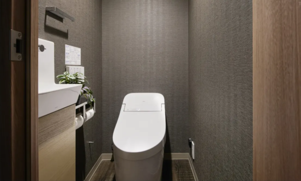 照片來源：網上圖片 