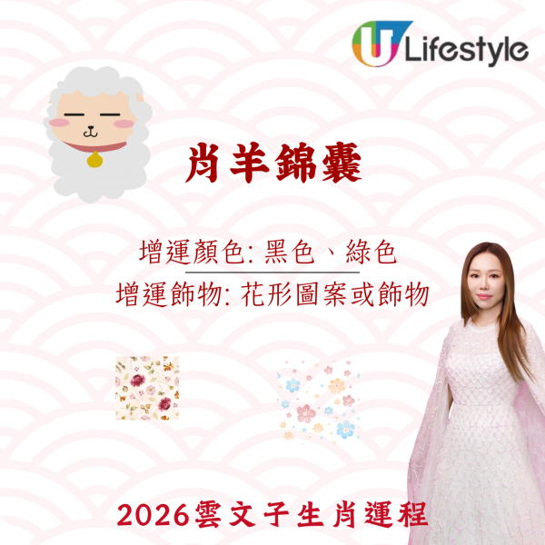 雲文子生肖運程2026|十二生肖開運錦囊!4生肖犯太歲化解法 開運顏色/飾物攻略