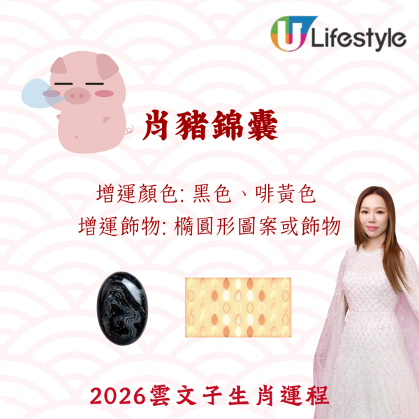 雲文子生肖運程2026|十二生肖開運錦囊!4生肖犯太歲化解法 開運顏色/飾物攻略