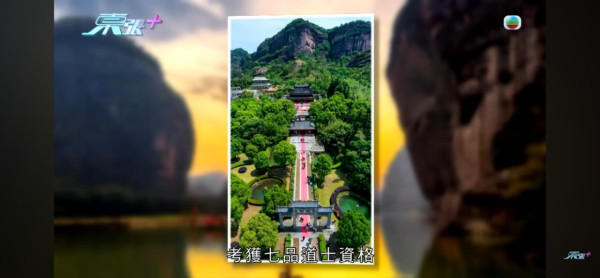 東張西望｜中學妹險變KK園豬仔？網紅道長誘叫「爸爸」索八字：跟我去台灣