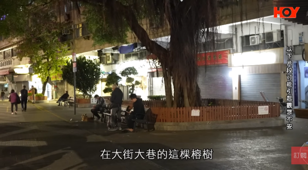 一線搜查｜新蒲崗鼠患源頭曝光？直擊婆婆深夜「派麵包」過百巨鼠瘋搶極恐怖