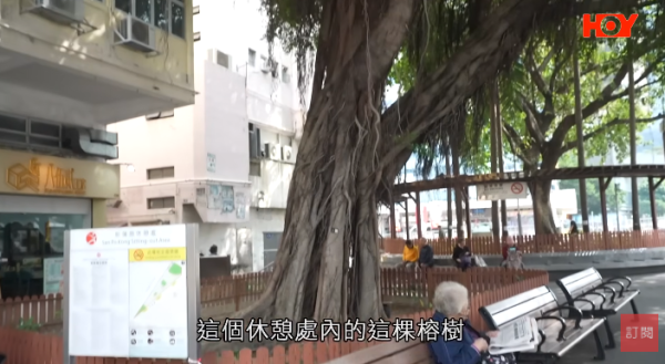 一線搜查｜新蒲崗鼠患源頭曝光？直擊婆婆深夜「派麵包」過百巨鼠瘋搶極恐怖