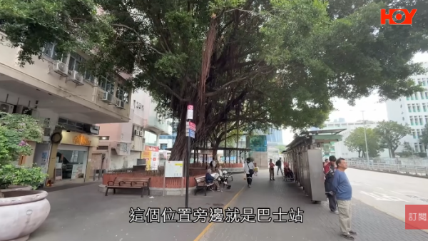 一線搜查｜新蒲崗鼠患源頭曝光？直擊婆婆深夜「派麵包」過百巨鼠瘋搶極恐怖