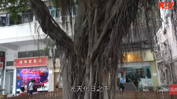 一線搜查｜新蒲崗鼠患源頭曝光？直擊婆婆深夜「派麵包」過百巨鼠瘋搶極恐怖