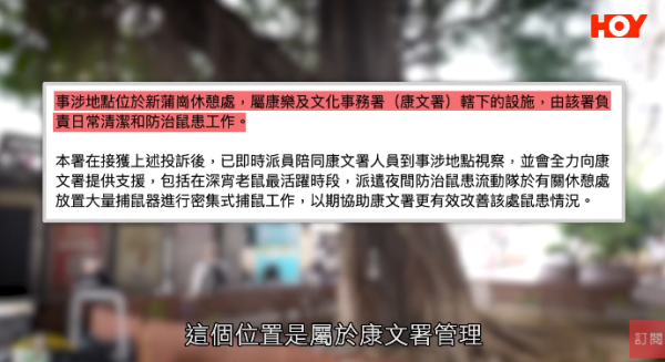 一線搜查｜新蒲崗鼠患源頭曝光？直擊婆婆深夜「派麵包」過百巨鼠瘋搶極恐怖