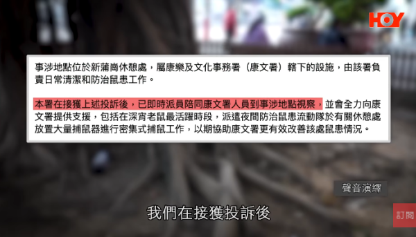 一線搜查｜新蒲崗鼠患源頭曝光？直擊婆婆深夜「派麵包」過百巨鼠瘋搶極恐怖