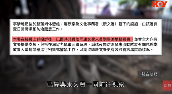 一線搜查｜新蒲崗鼠患源頭曝光？直擊婆婆深夜「派麵包」過百巨鼠瘋搶極恐怖