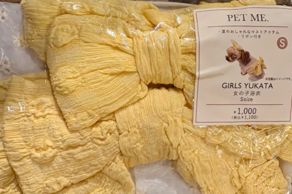 照片來源:小紅書@Palpitate 照片來源:小紅書@Palpitate