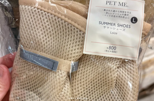 照片來源:小紅書@Palpitate 照片來源:小紅書@Palpitate