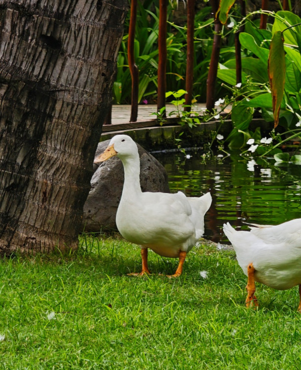 【開箱實測】1/3 價錢買到頂級享受 POCO F8 Ultra 聯乘 BOSE 音效 「380 萬分」破紀錄睇戲打機超爽