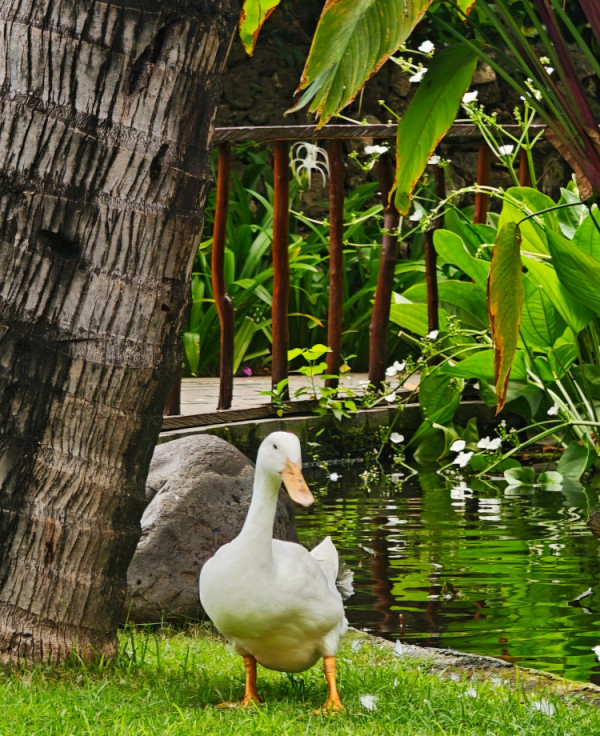 【開箱實測】1/3 價錢買到頂級享受 POCO F8 Ultra 聯乘 BOSE 音效 「380 萬分」破紀錄睇戲打機超爽