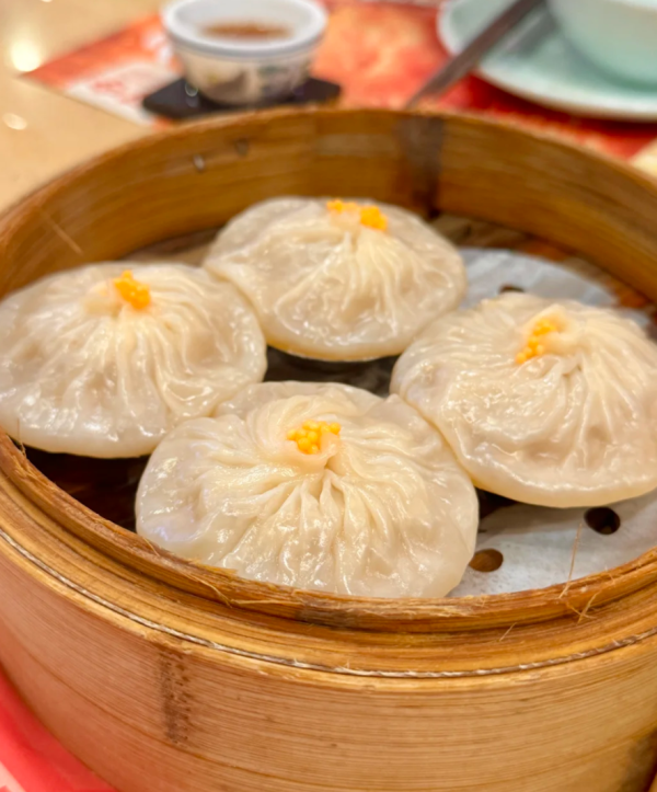 照片來源：小紅書