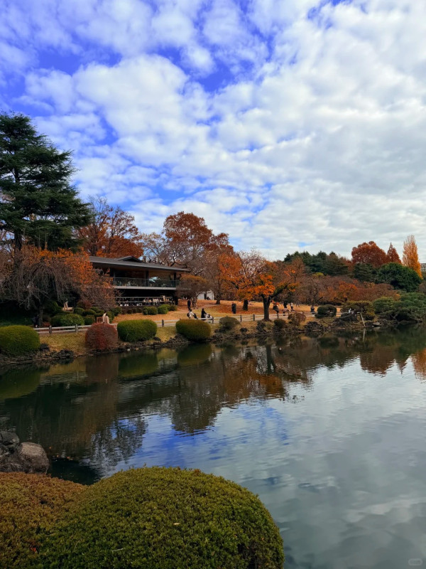 圖源:微雨燕雙飛@小紅書 圖源:微雨燕雙飛@小紅書