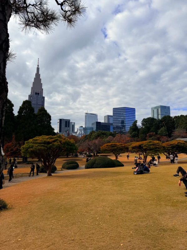 圖源:微雨燕雙飛@小紅書 圖源:微雨燕雙飛@小紅書