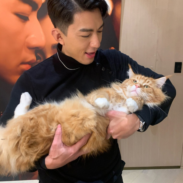 張寶兒沉痛發文痛失家中一分子 長文淚訴追憶：你最後還是離開了