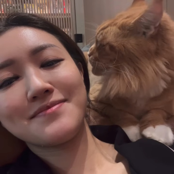 張寶兒沉痛發文痛失家中一分子 長文淚訴追憶：你最後還是離開了