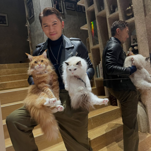 張寶兒沉痛發文痛失家中一分子 長文淚訴追憶：你最後還是離開了