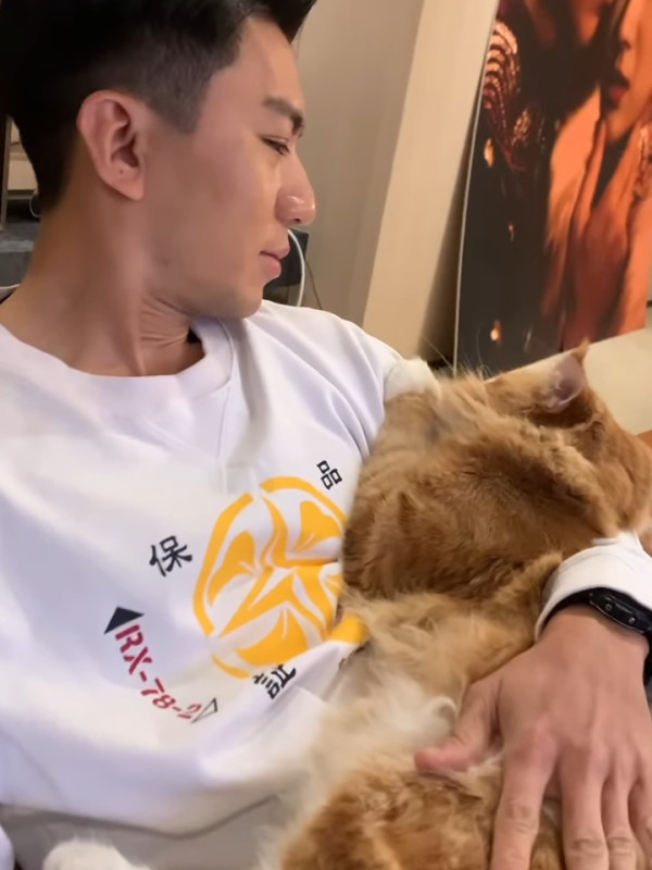 張寶兒沉痛發文痛失家中一分子 長文淚訴追憶：你最後還是離開了