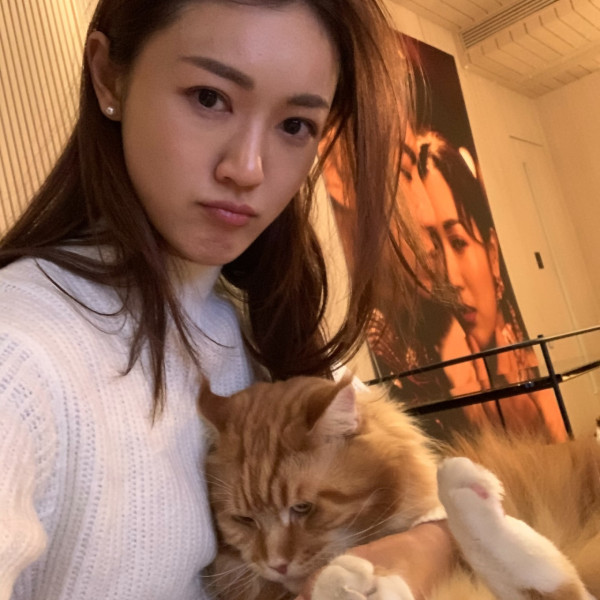 張寶兒沉痛發文痛失家中一分子 長文淚訴追憶：你最後還是離開了